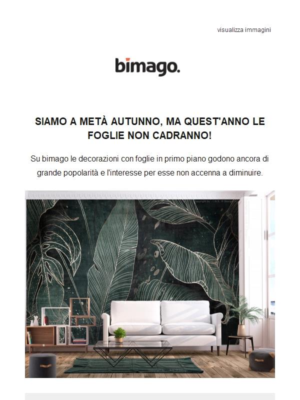 Le foglie non cadranno quest'anno