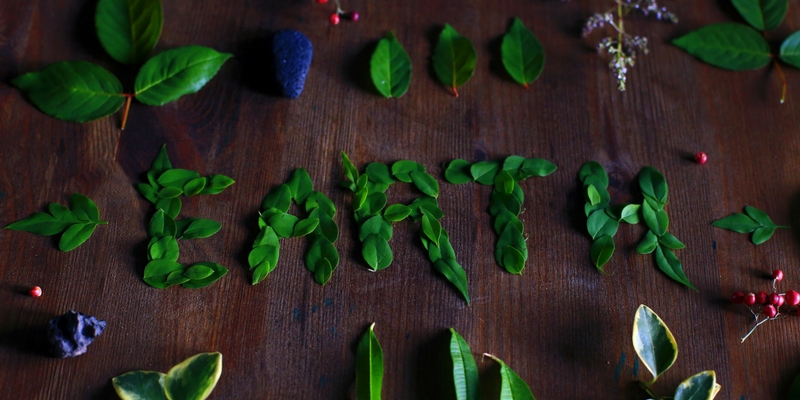 Prodotti Biologici e Vegetali