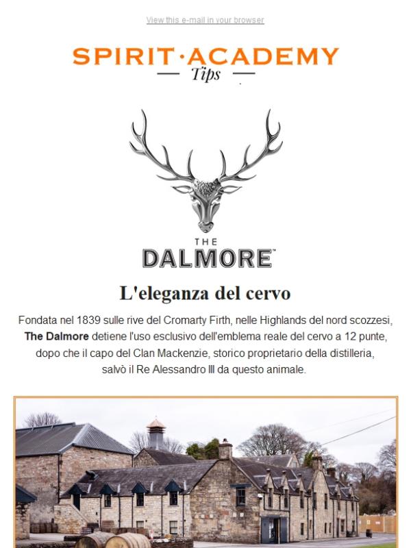 The Dalmore | Spirit Academy Tips