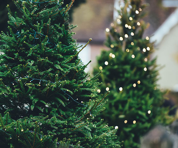 alberi di natale