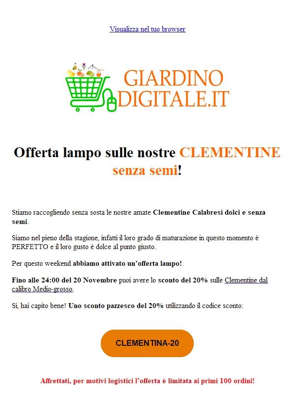 Offerta lampo per le Clementine 🍊