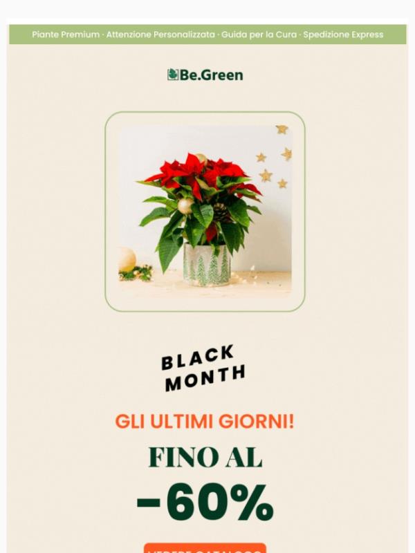 Black Friday 🖤 🪴 fino a -60%