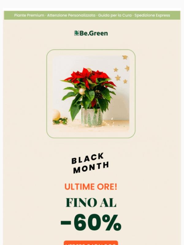 Black Friday 🖤 🪴 ULTIME ORE!