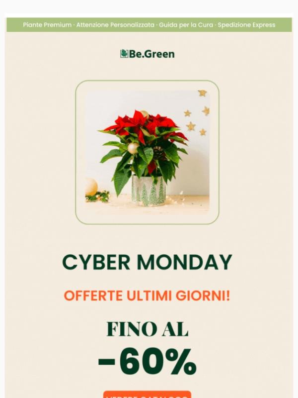 Cyber Monday 🖤 🪴 ULTIME ORE!