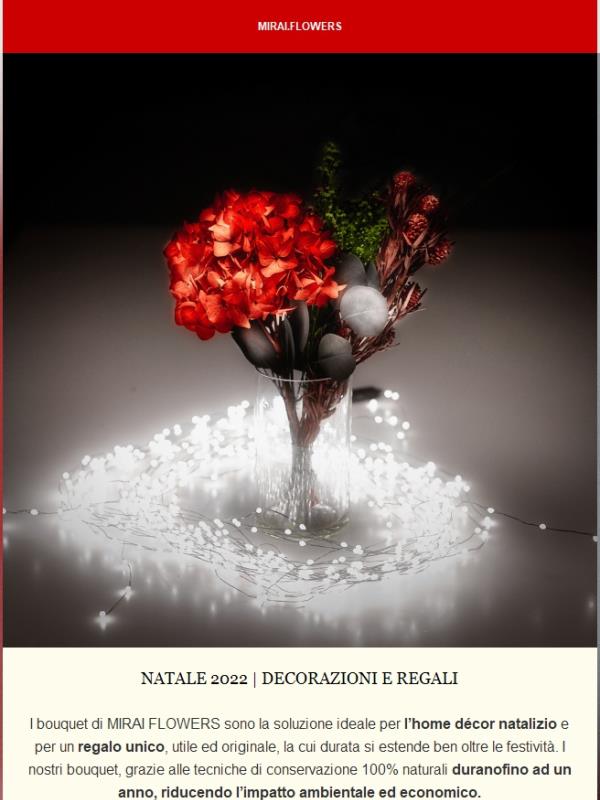 Preparati a festeggiare la Magia del Natale con MIRAI.FLOWERS
