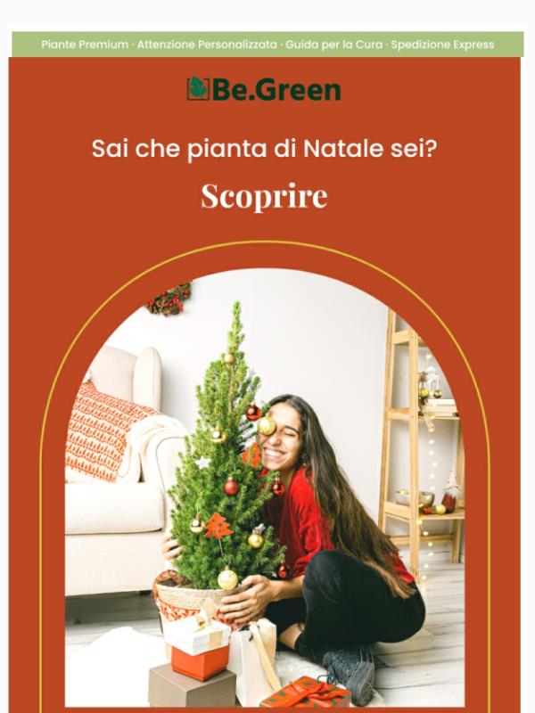 Scopri la pianta che si abbina alla tua personalità 🎄💫