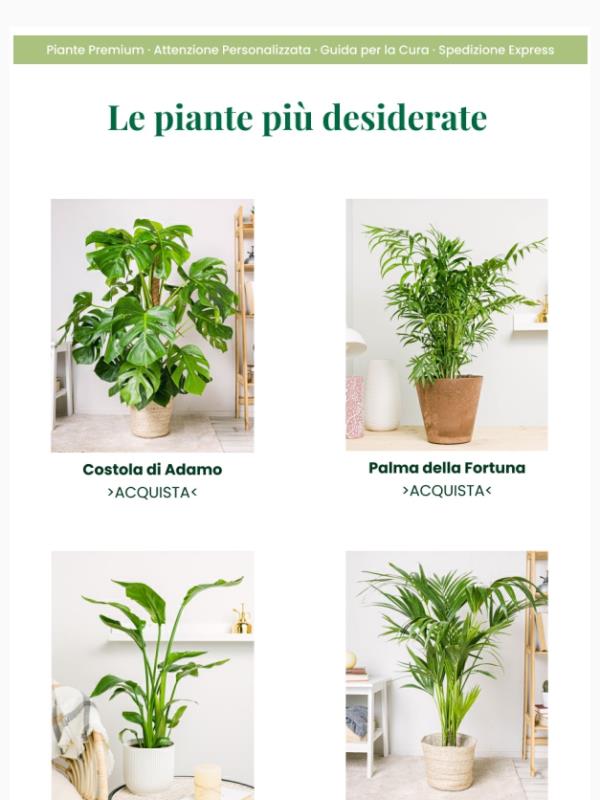 Presta attenzione ai migliori 🪴👏🏼