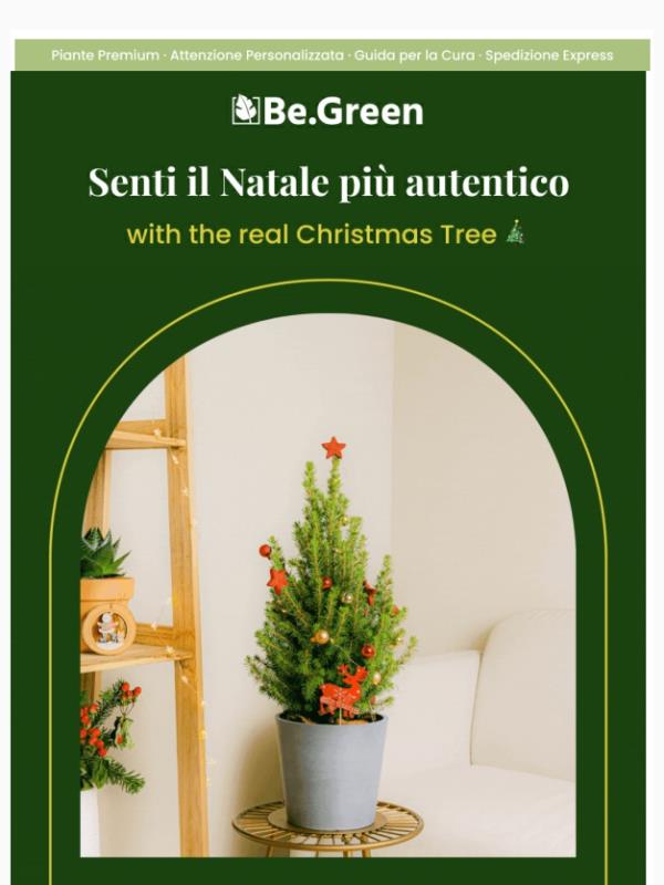 Benefici di un albero vivo🎄