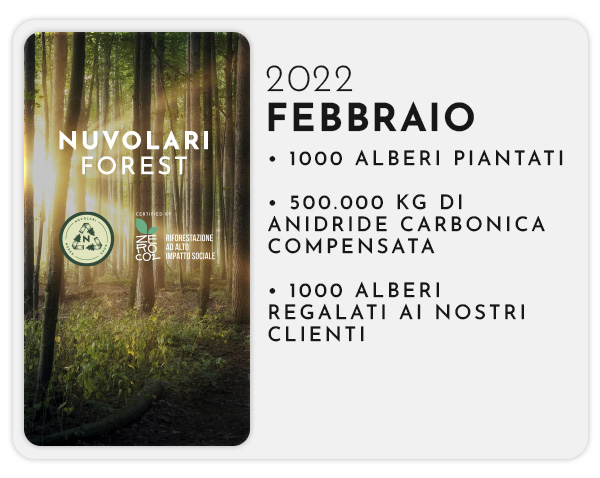 Nuvolari Forest