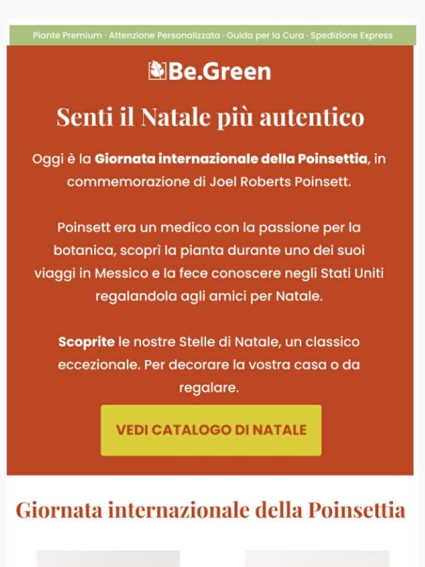 Poinsettia, la regina del Natale ❤️🎄