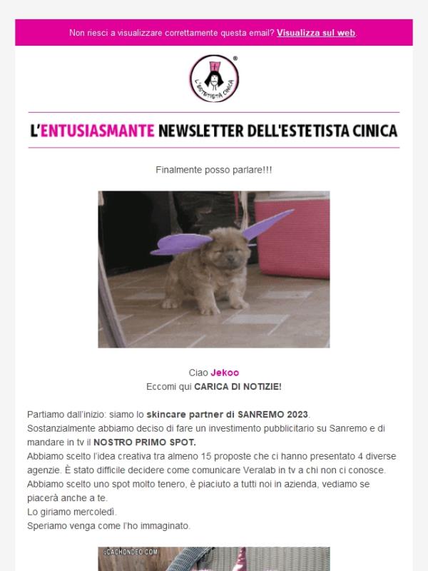 Una newsletter CARICA DI NOTIZIE!