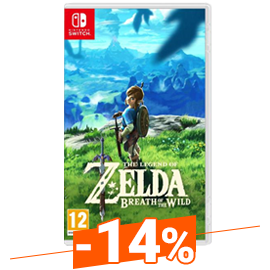 Nintendo