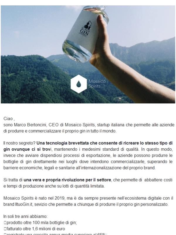 Scopri Mosaico Spirits: la startup che rivoluziona il settore del gin