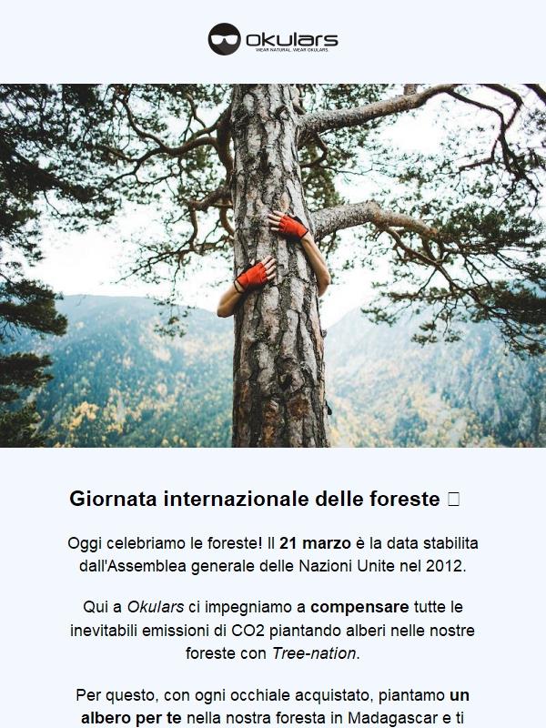 Giornata delle Foreste 🌳