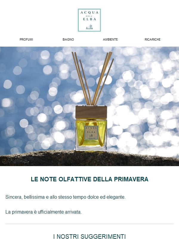 Costa Del Sole Profumatore D'Ambiente 500 Ml | Diffusore Per Casa Con Bottiglia In Vetro E Tappo In Legno | Fragranza Fresca E Invitante - 2