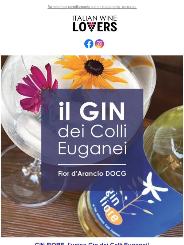 GIN FIORE, 🍸Il primo Gin dei Colli Euganei🥇