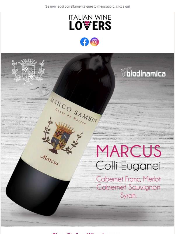 Marco Sambin | Marcus🍷