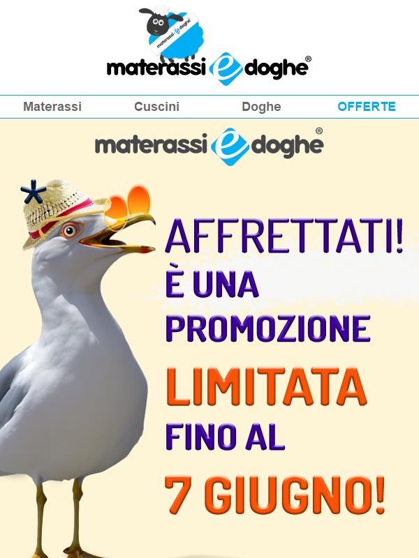 Affrettati, la promozione scade domani! 🤯