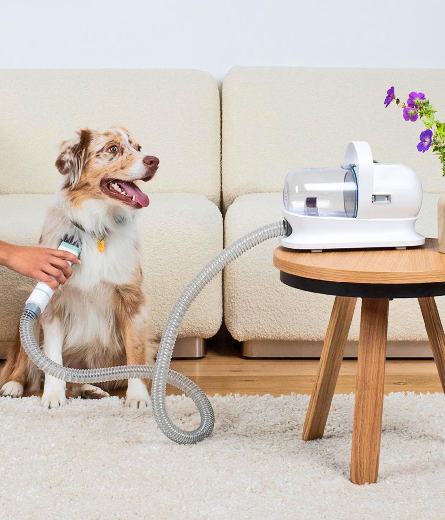 Aspiratore e Tosatore per Animali