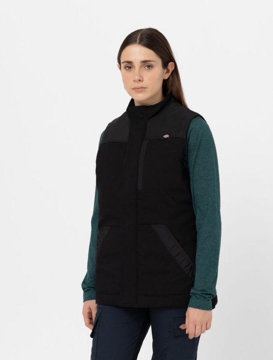 DICKIES - CUYAMA