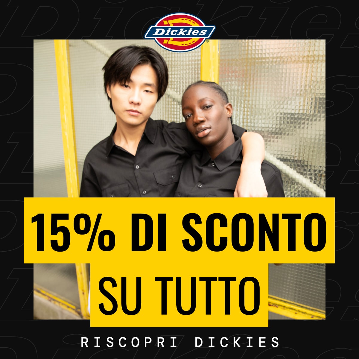 DICKIES - Inactive Users