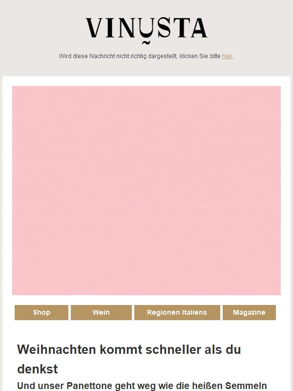 LETZTE STÜCKE: Pandoro und Panettone ⌛🎇