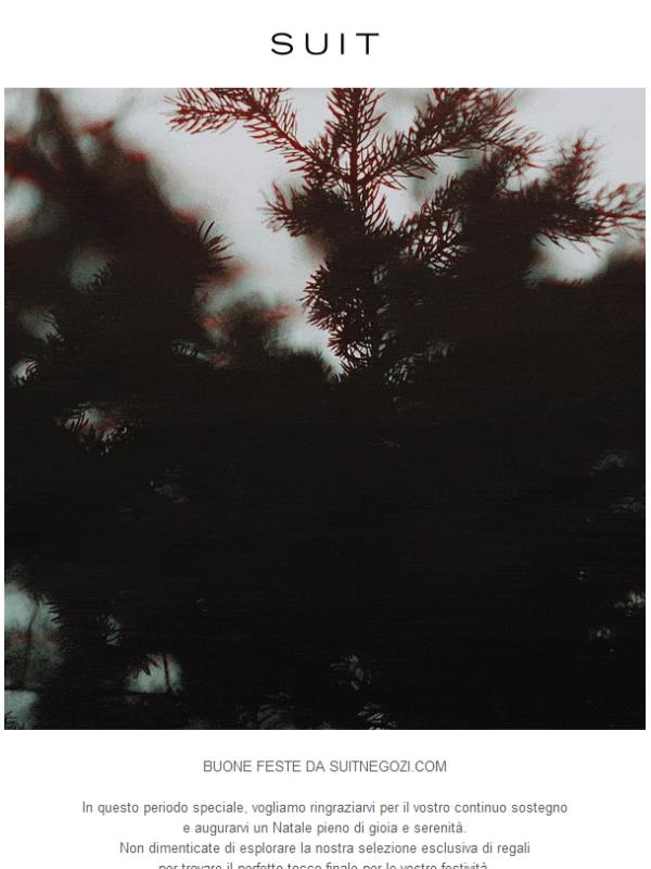 Auguri di buone feste da Suitnegozi!