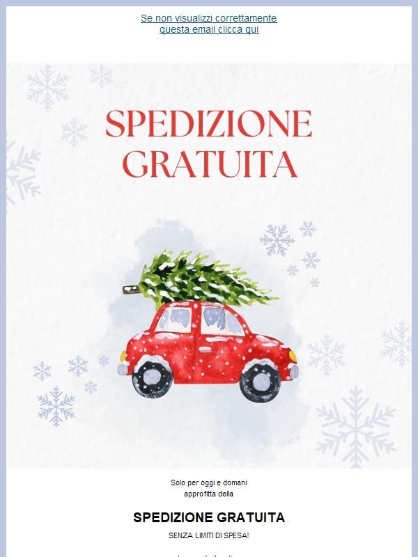 SPEDIZIONE GRATUITA ! 🚗❄️