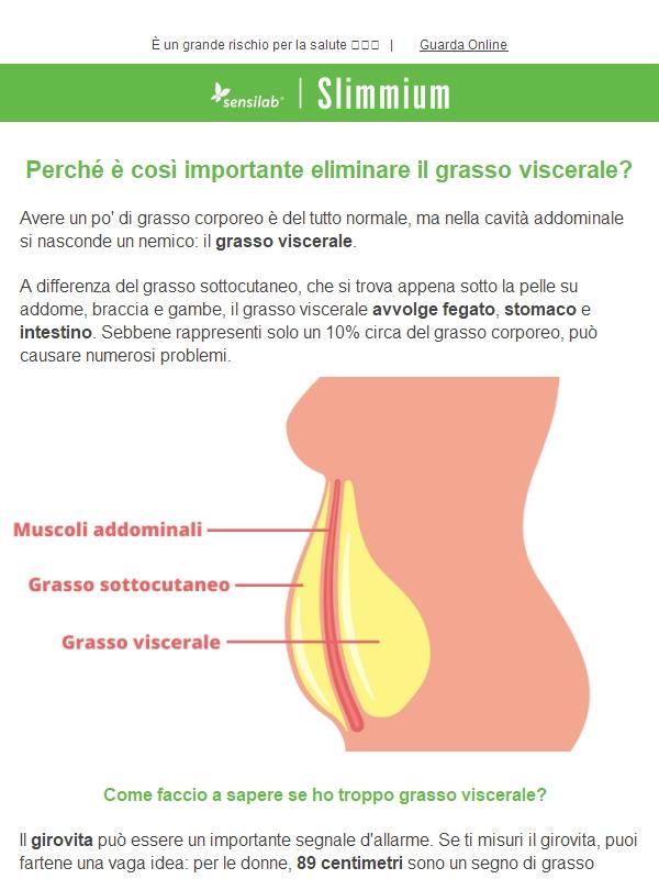 Il grasso viscerale deve essere eliminato per questo motivo