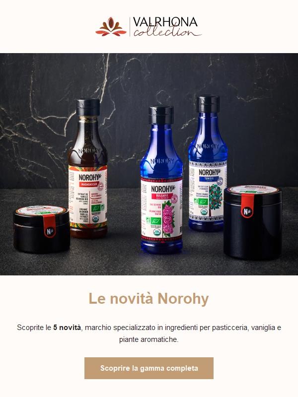 Scoprite le 5 novità Norohy! 🆕