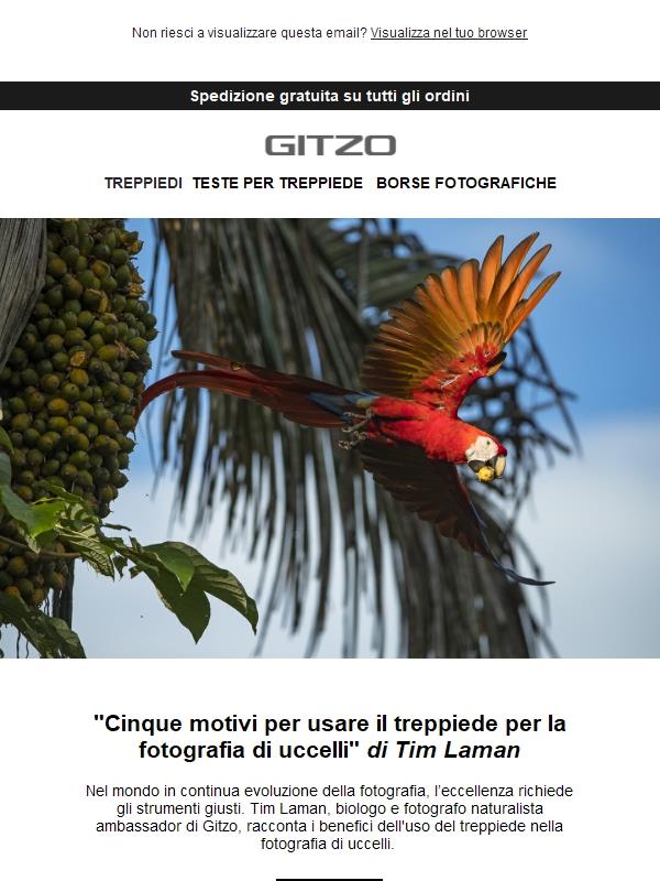 L'Arte della fotografia di uccelli con Tim Laman