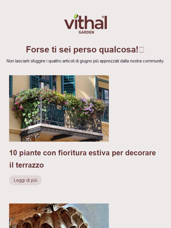 Forse ti sei perso qualcosa👀