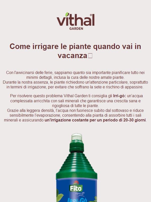 Ferie? Nessun problema per le tue piante