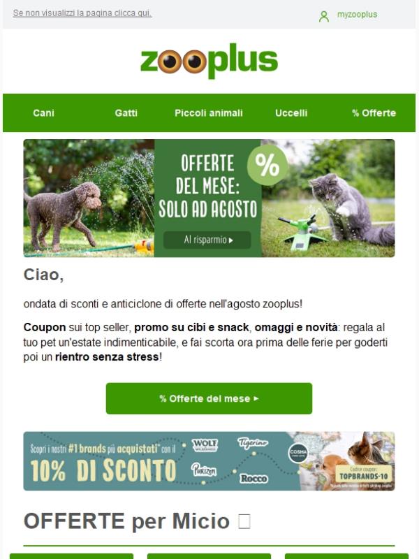 Offerte del mese: sconti bollenti 🔥🌡️