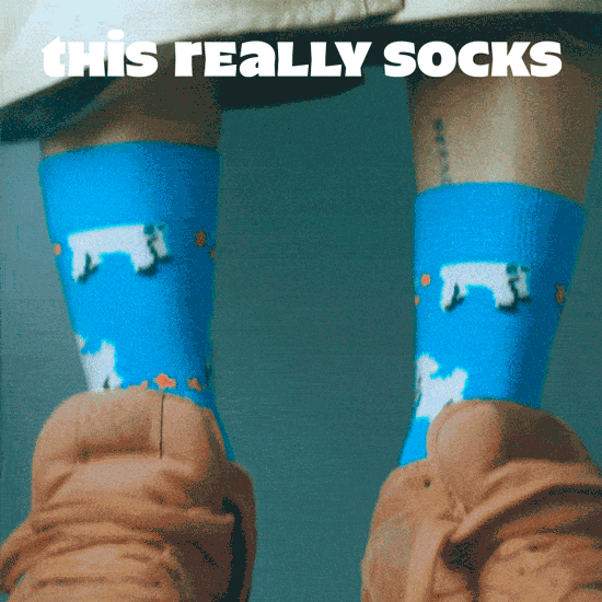 Animal socks