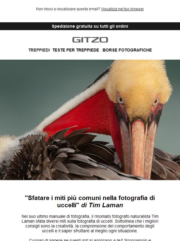 Sfatare i miti più comuni nella fotografia di uccelli