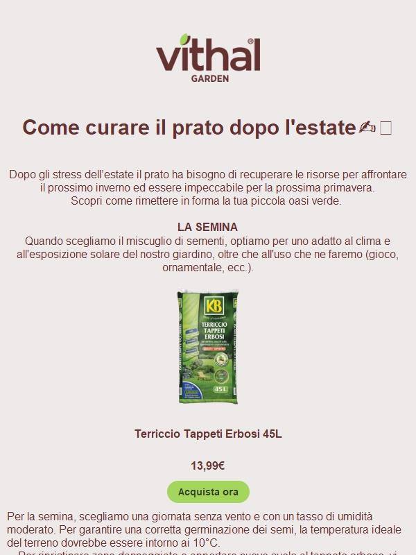 Rinnova il tuo prato✨