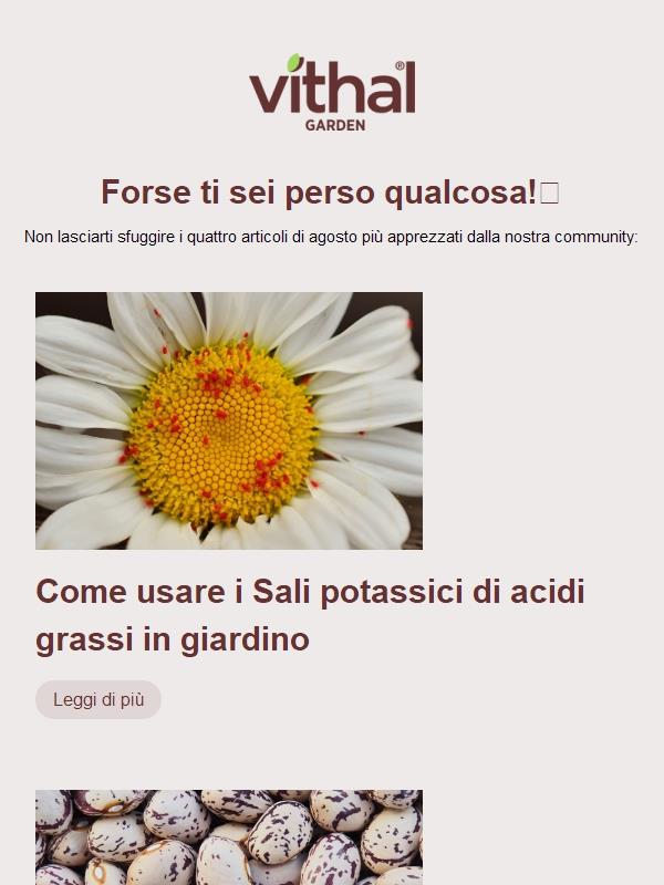 Forse ti sei perso qualcosa👀