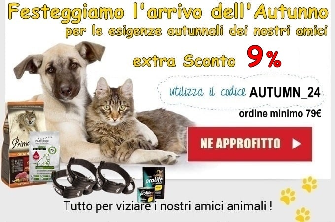 Testo alternativo