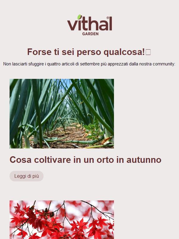 Forse ti sei perso qualcosa👀