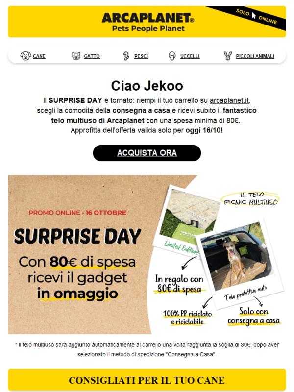 SURPRISE DAY: una sorpresa ti aspetta! 🛍️