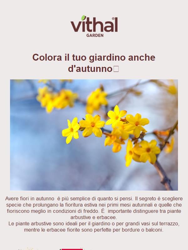 Fiori in autunno?