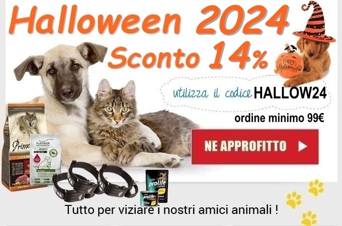 Testo alternativo