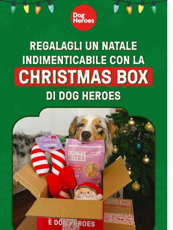 Christmas is coming🎄✨🎁