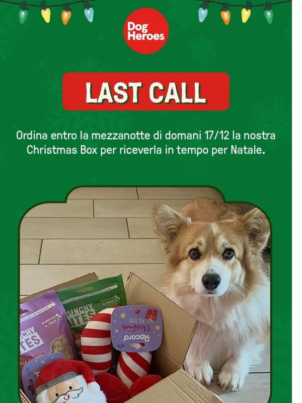 🎄Last Call Christmas Box 🎁