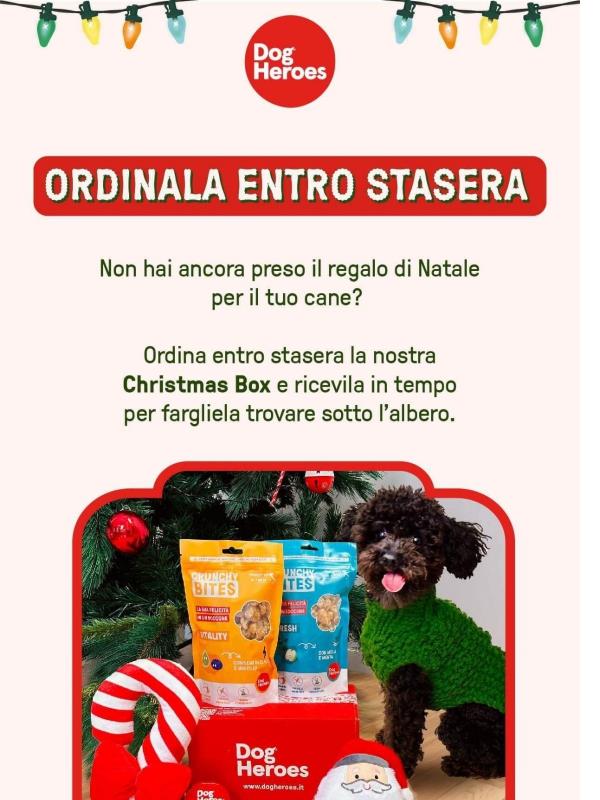 🎁SOLO FINO A STASERA