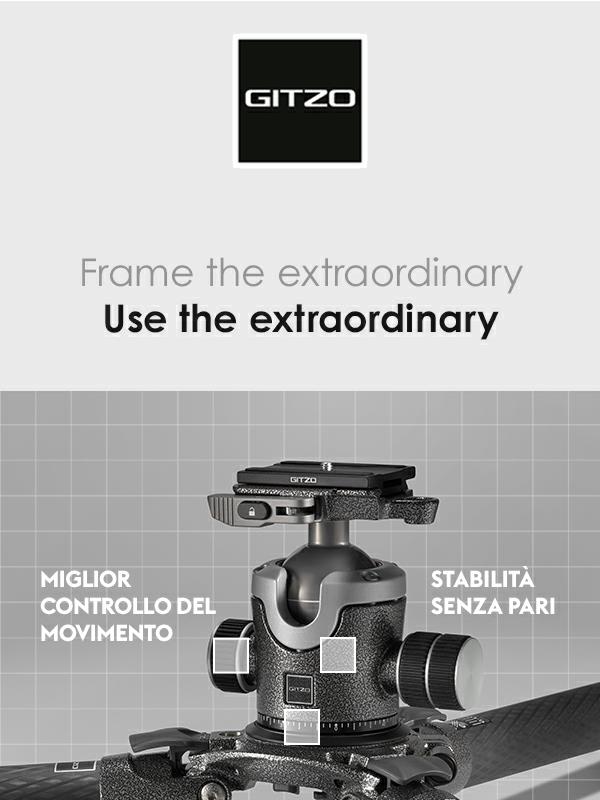 Stabilità e controllo superiori: Gitzo Testa a Sfera Serie 4