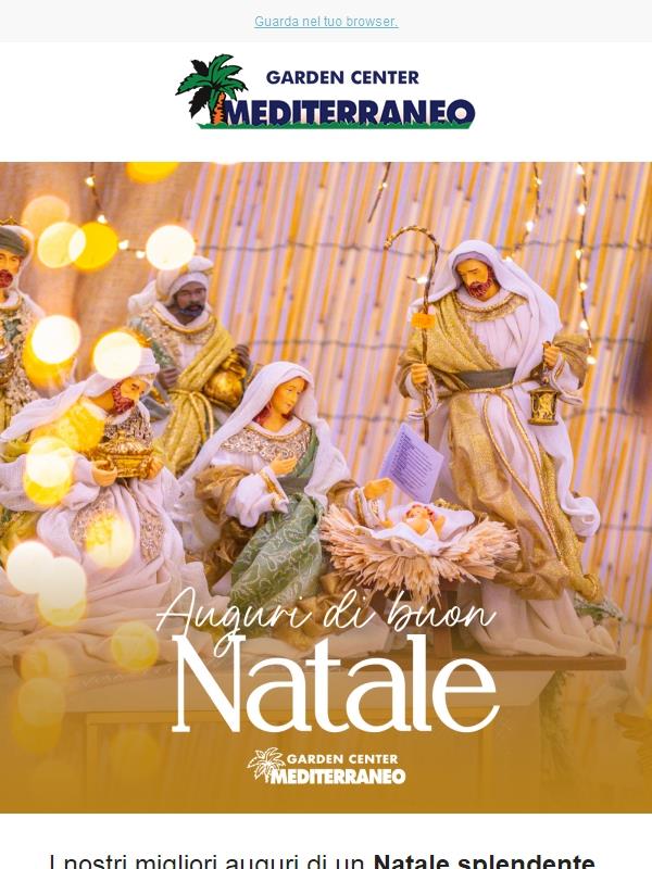 Buone Feste da Mediterraneo Garden Center 🎄
