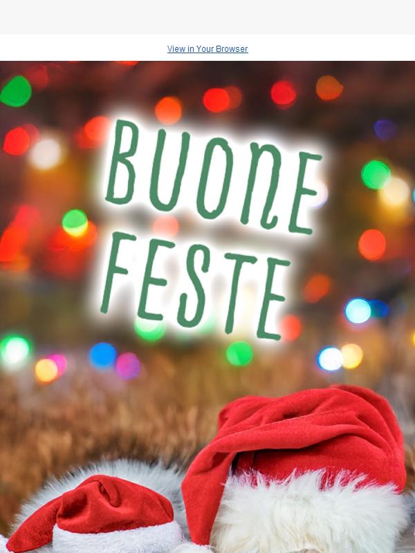 Buone Feste 🎄
