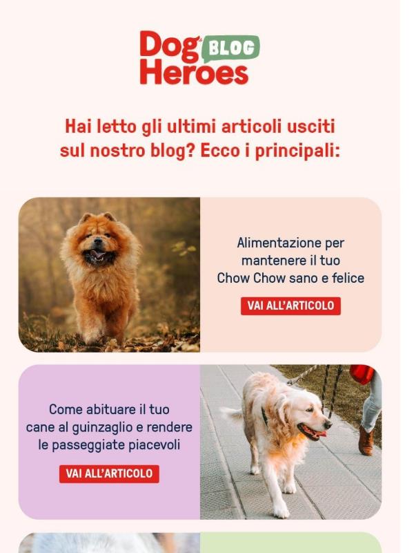 Scopri gli articoli usciti a dicembre sul nostro blog 🖥️🐶